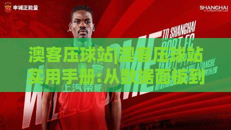 澳客压球站|澳客压球站实用手册:从数据面板到临场判断的进阶思路(澳客压球站)|最全手机信誉体球网半全场动画水位精彩片段流畅代理