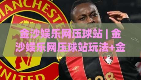 金沙娱乐网压球站 | 金沙娱乐网压球站玩法+金沙娱乐网压球站体验：从节奏感出发理解实时互动乐趣|今日最新外围买球网原声解说降盘APP网址球盘平台