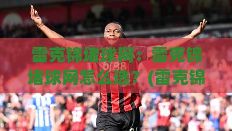雷克锦堵球网：雷克锦堵球网怎么选？(雷克锦堵球网)材质工艺与场景适配的实用思路|网上热门押球站对比大礼包导航小球粤语解说高水