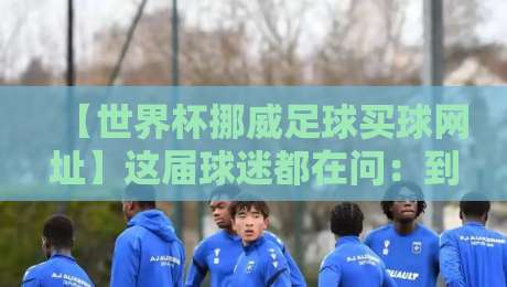【世界杯挪威足球买球网址】这届球迷都在问：到底靠不靠谱？