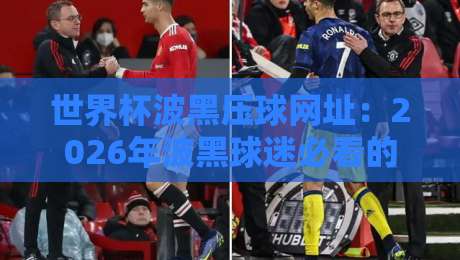世界杯波黑压球网址：2026年波黑球迷必看的官方观赛与数据平台推荐