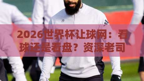 2026世界杯让球网：看球还是看盘？资深老司机带你避坑指南