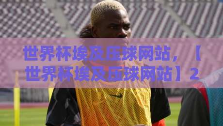 世界杯埃及压球网站，【世界杯埃及压球网站】2026年球迷必读：风险与合法选择