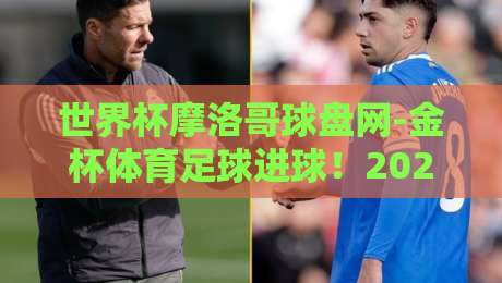 世界杯摩洛哥球盘网-金杯体育足球进球!2026年球迷必看的新趋势解析