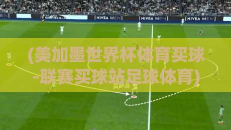 (美加墨世界杯体育买球-联赛买球站足球体育):2026年球迷必懂的三大避险法则与平台甄别术