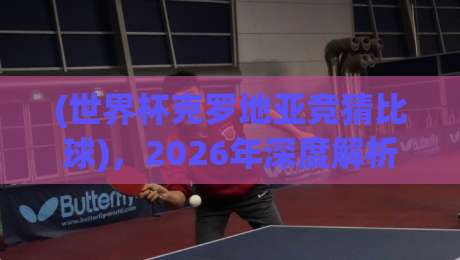 (世界杯克罗地亚竞猜比球)，2026年深度解析：从赔率到实战策略