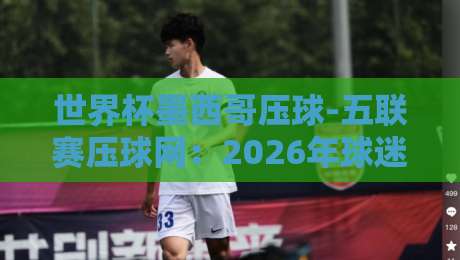 世界杯墨西哥压球-五联赛压球网：2026年球迷必看的投注新趋势