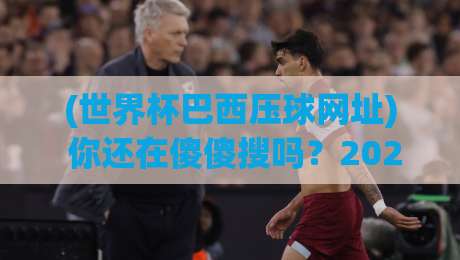 (世界杯巴西压球网址) 你还在傻傻搜吗?2026年这些门道必须懂! (世界杯巴西压球网址) 你还在傻傻搜吗?2026年这些门道必须懂!