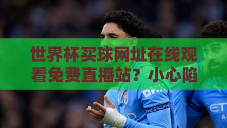 世界杯买球网址在线观看免费直播站？小心陷阱！2026年官方观赛指南来了