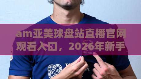 am亚美球盘站直播官网观看入口，2026年新手必读的5个核心问题