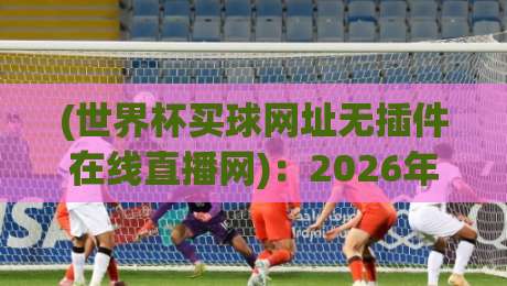 (世界杯买球网址无插件在线直播网)：2026年看球新姿势，谁说高清非得装插件？