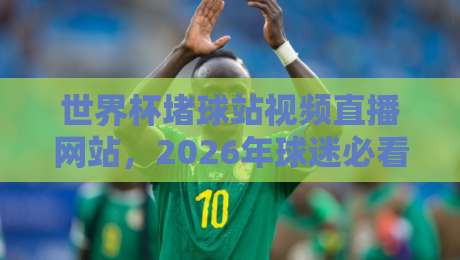 世界杯堵球站视频直播网站,2026年球迷必看的高清观赛指南