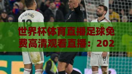 世界杯体育直播足球免费高清观看直播:2026年球迷必备的5个观赛渠道与避坑指南