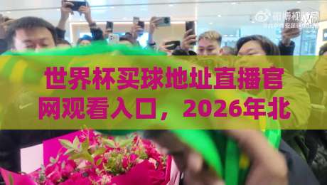 世界杯买球地址直播官网观看入口，2026年北美世界杯观赛全攻略